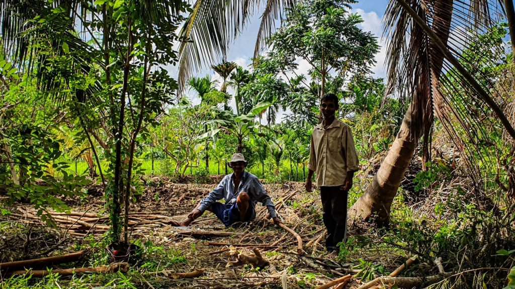 Reisstel.nl | 10x De leukste tips voor Dambulla in Sri Lanka | update 2023 Harde werkers op het land Blue Mountains View Dambulla