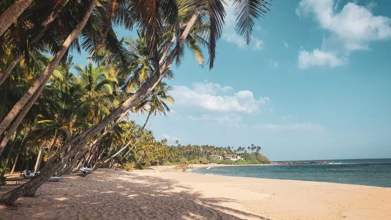 Reisstel.nl | Sri Lanka