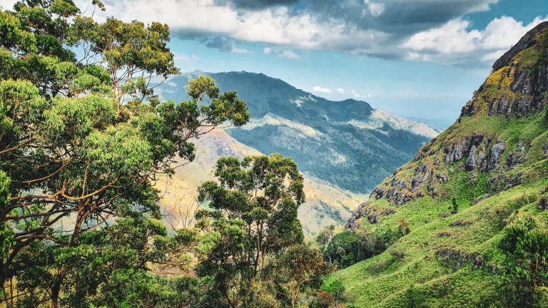 Reisstel.nl | Sri Lanka