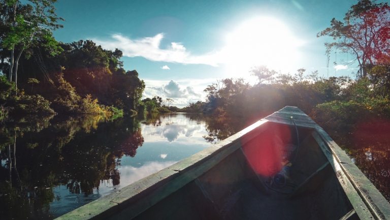 Amazone Bolivia