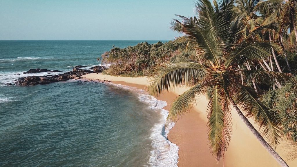 Strand Tangalle in Sri Lanka Palmboom