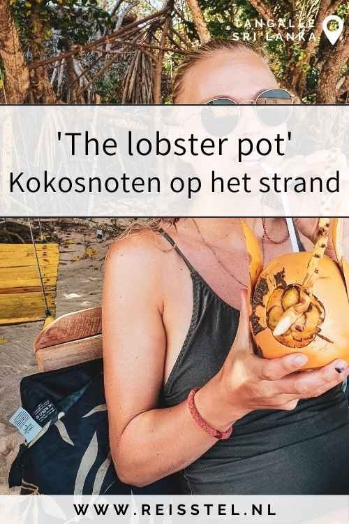 Reisstel.nl | Ontdek de 6x geheime stranden van Tangalle Reisstel.nl | Ontdek de 6x geheime stranden van Tangalle