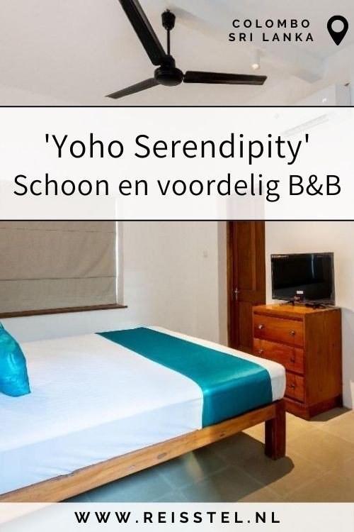 Yoho Serendipity