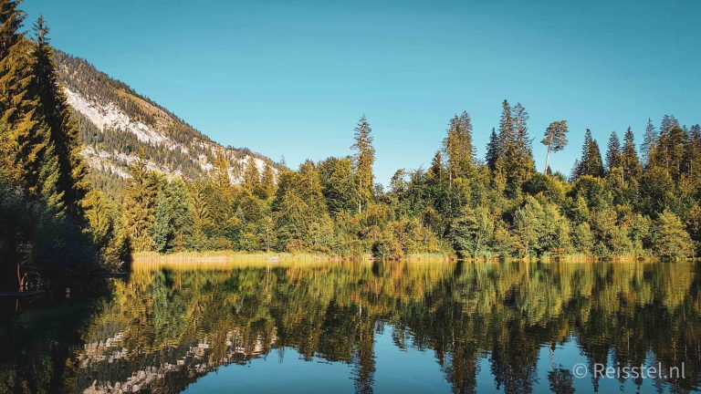 Wat is er in de zomer te doen in Flims Zwitserland | Header