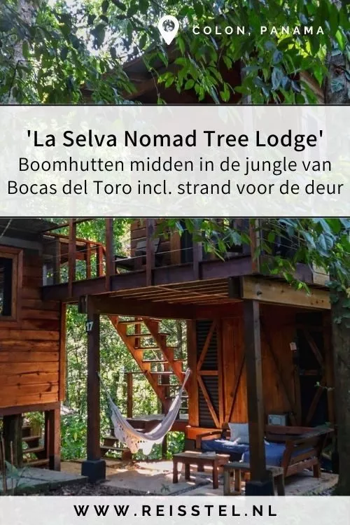 Bocas del Toro | La Selva Nomad Tree Lodge | Slapen