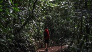 Monteverde Costa Rica | Header
