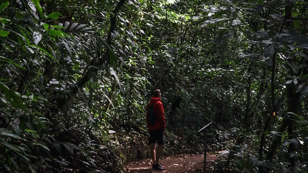 Monteverde Costa Rica | Header