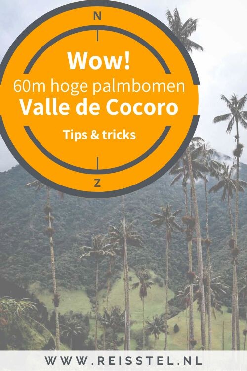 Valle de Cocoro Cocoro vallei palmbomen vallei Colombia