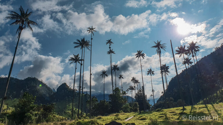 Valle de Cocora | Header optie 3