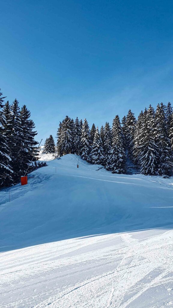 Wintersport | Les Trois Vallees | Les Menuires piste