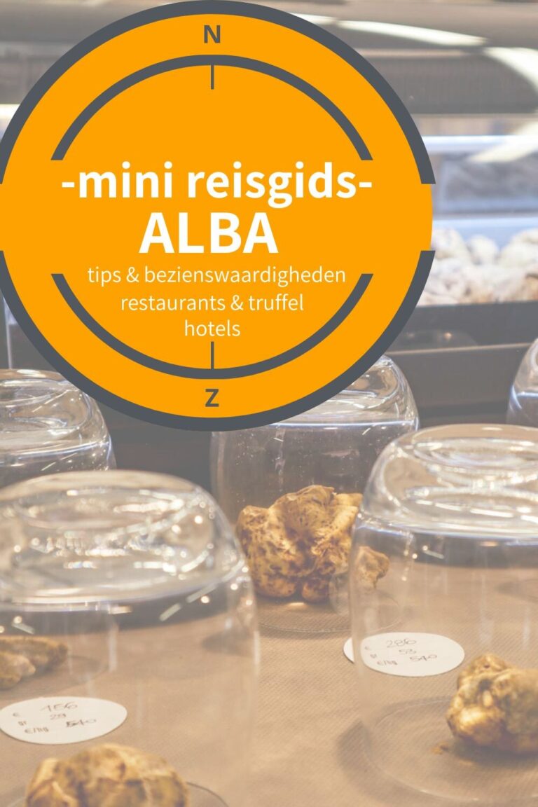 Tips Alba pinterest pin