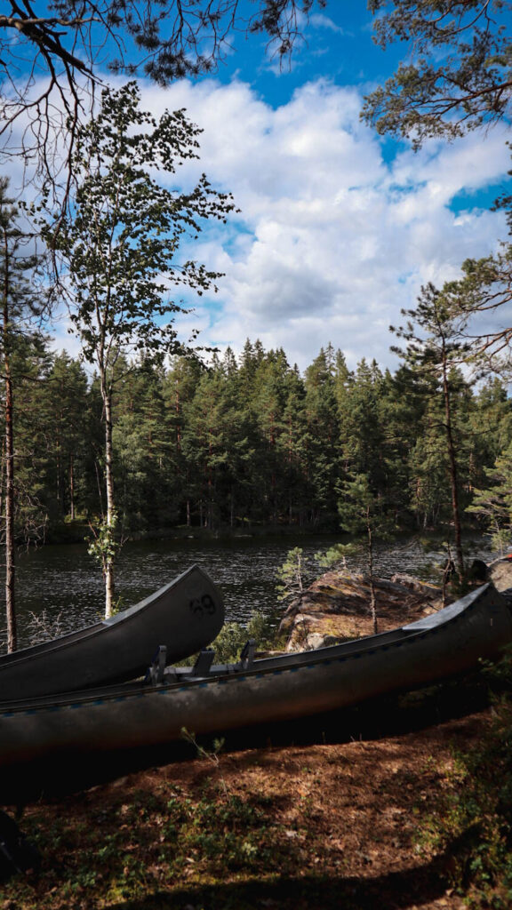 Kano's bij het water en de bossen in Zweden