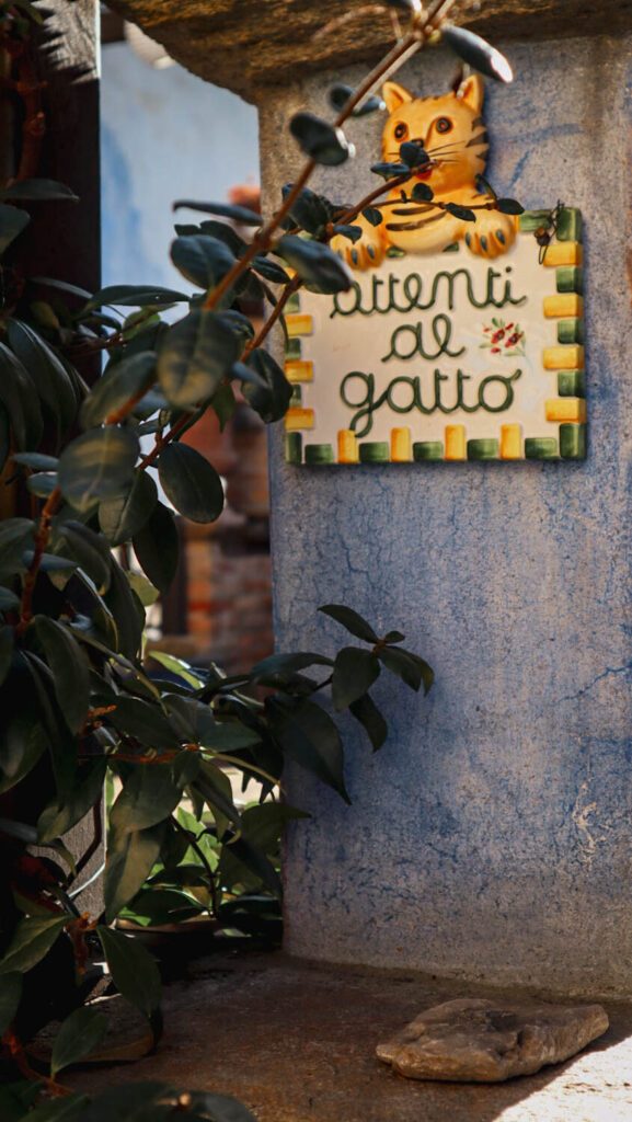 Attenti al gatto in Monforte d'Alba