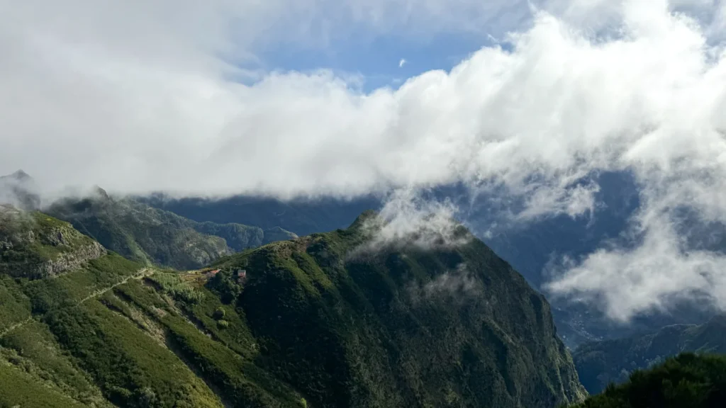 Madeira view