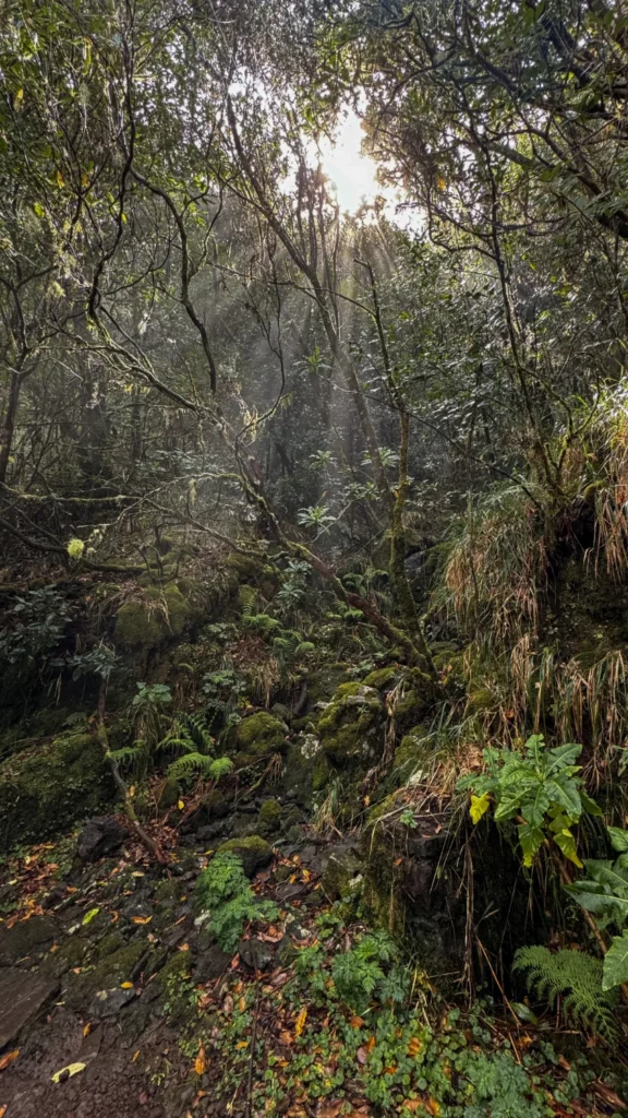 Wandelvakantie | Madeira | Natuur