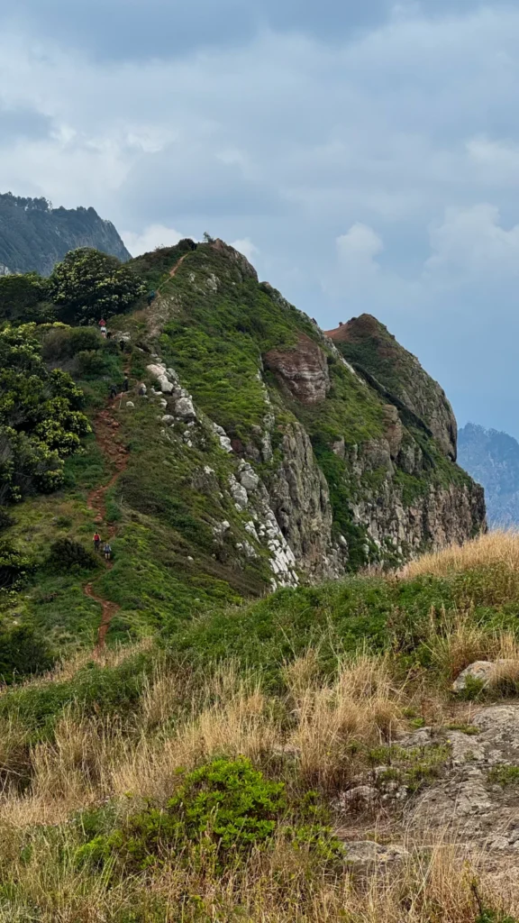 hikepad madeira | madeira trail | travelbase