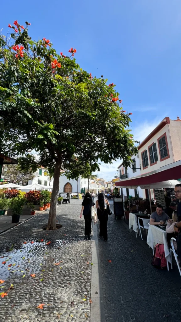 Wandelen Madeira | Funchal