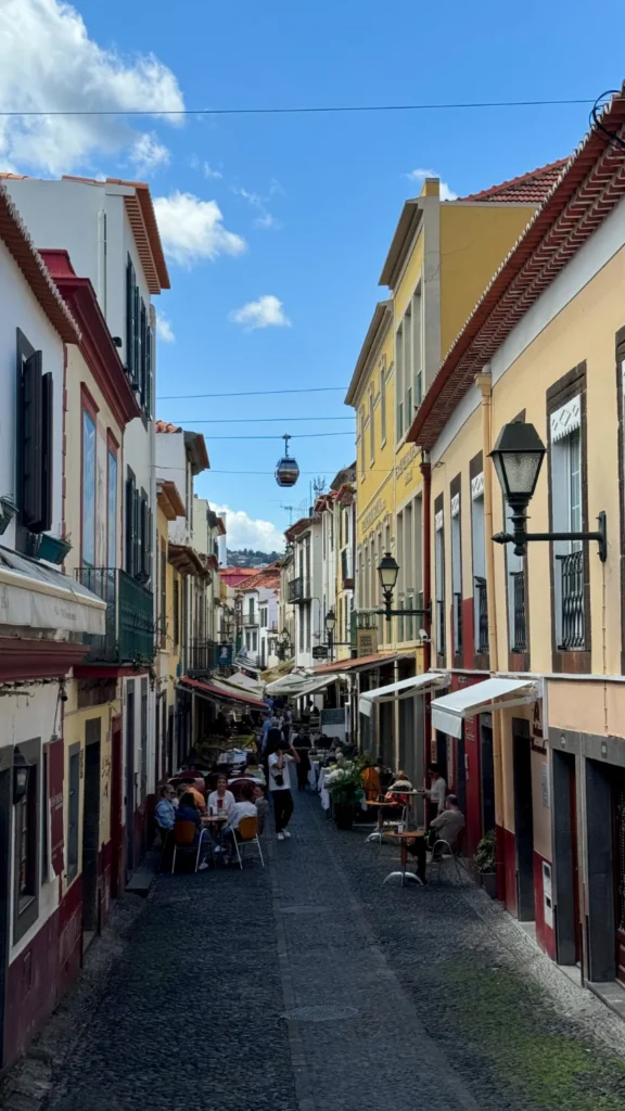 Funchal | Madeira Trail