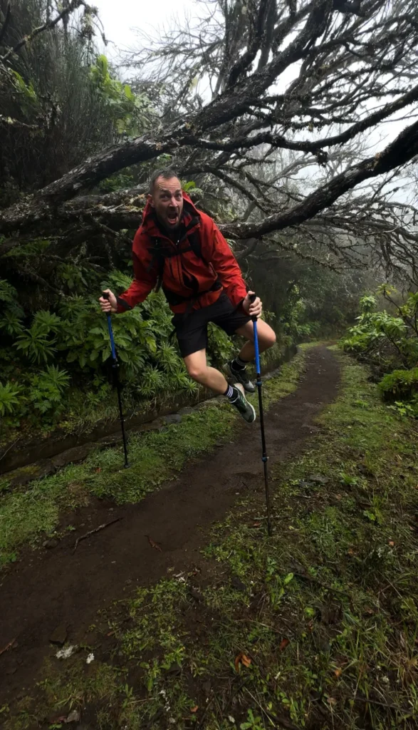 Wandelvakantie | Madeira | Jungle