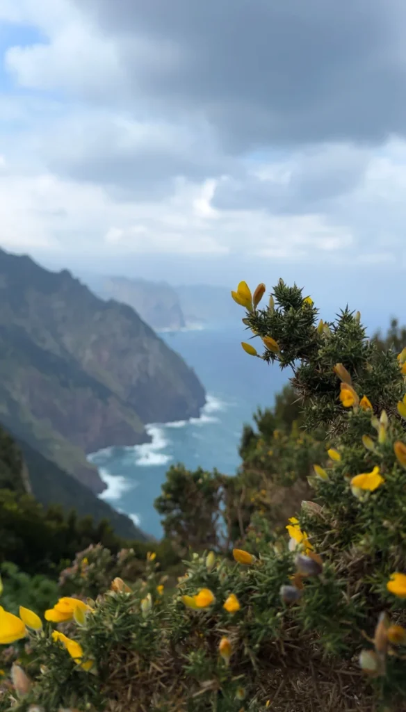 Uitzichten Madeira | bloemeneiland