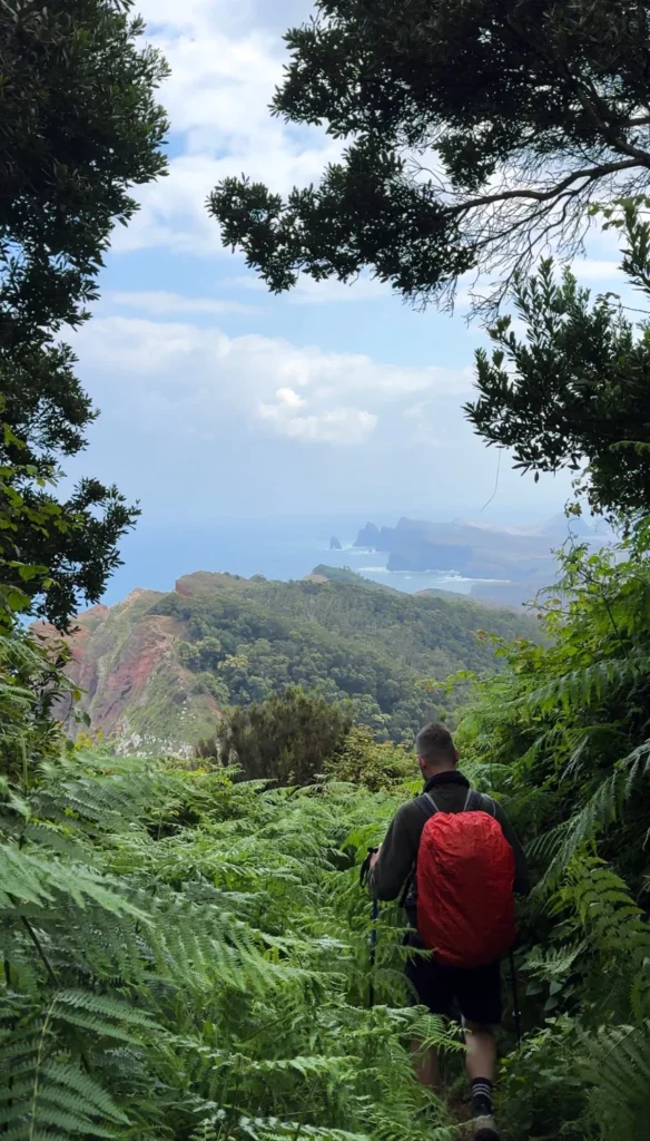 Jungle en kust | Madeira | Wandelen