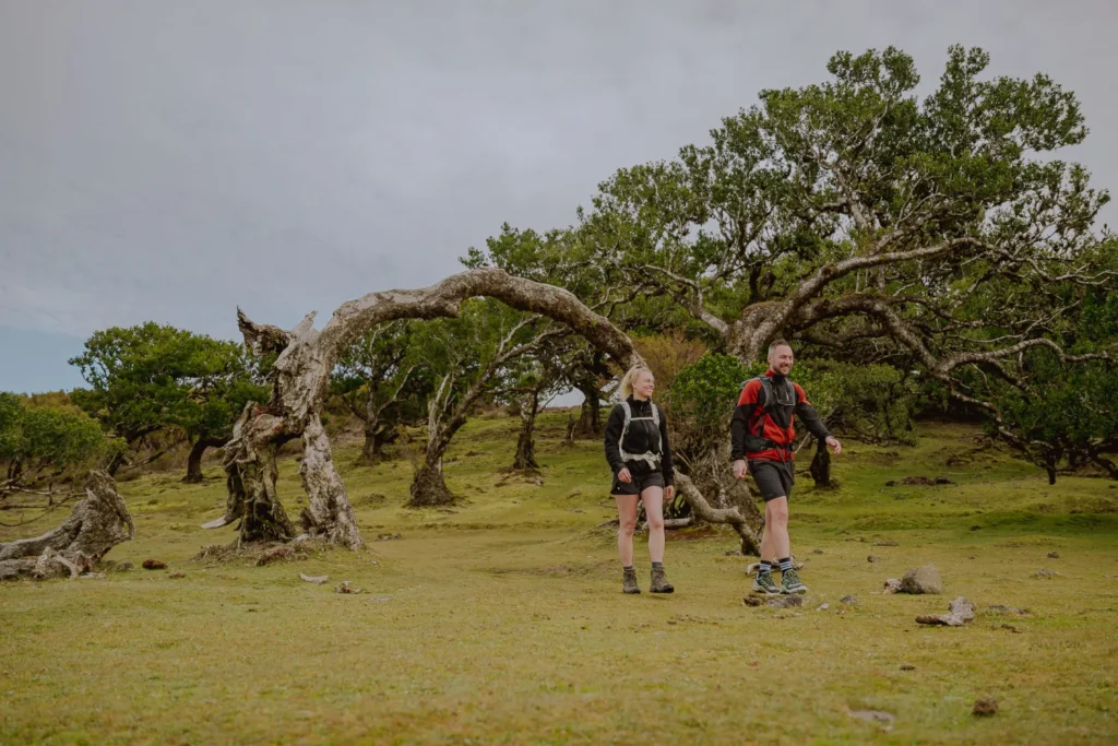 Wandelen op Madeira | Fanel Forest | BySiliquini