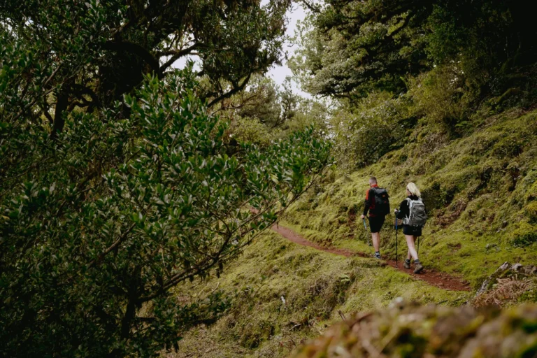 Hikepaden Madeira | BySiliquini
