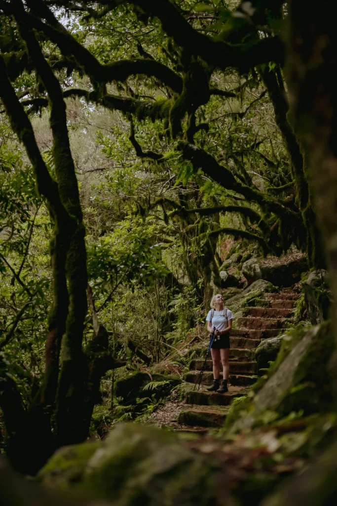 Wandelen op Madeira | Fanel Forest | BySiliquini