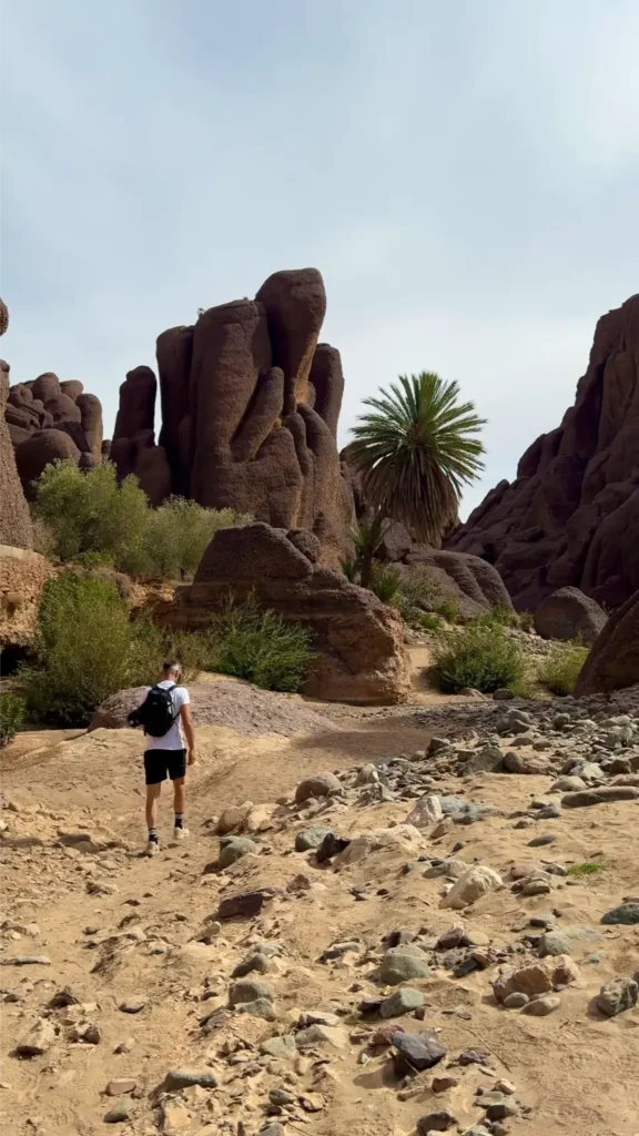 Wandelen Kloof van Tislit | Marokko