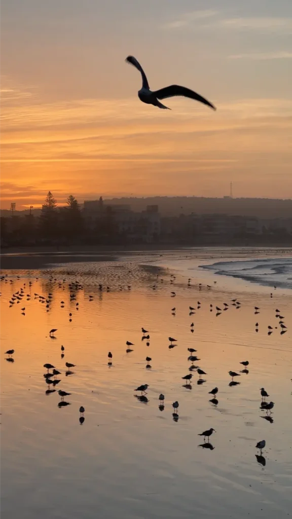 Strand zonsopgang Essaouira